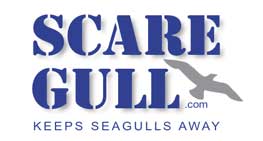 Scaregull